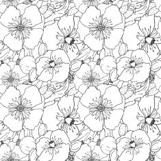 Vector seamless pattern with poppies flowers