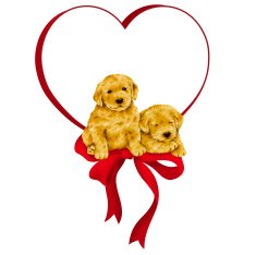 decoration of dog N2