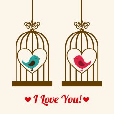 Love Design with Birds N15