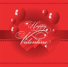 Valentine's Day N311