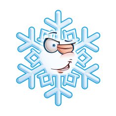 SnowFlake Emoticon - Wink N2