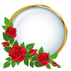 Golden frame with roses N2