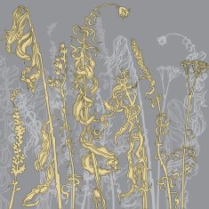 Monochrome line drawing herbs N4