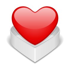 Open gift heart Valentine's day N10
