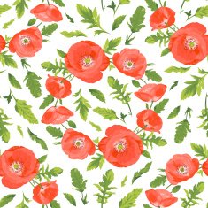 poppy N6