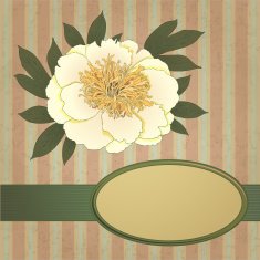 peony background N3