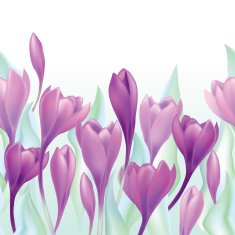 Spring flower crocus seamless frame