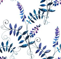 wild vetch N6