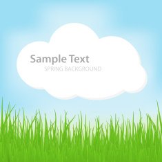 nature background N13