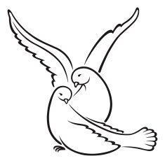 Wedding White Doves Love Birds Relationship Engagement