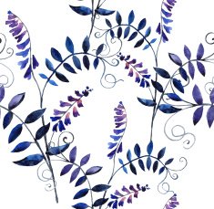 wild vetch N7