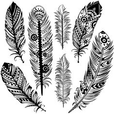 Set of ethnic feathers N5
