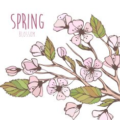 Blossoming Spring Branch Vector illustration N4