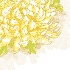 Romantic vector background with chrysanthemum