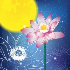 Lotus and Moon at Night N2