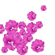 purple floral pattern background