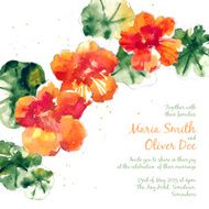 Vector background with orange watercolor nasturtium N11