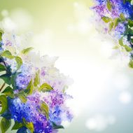 Lilac flowers background N5