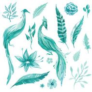 Vector watercolor set of birds flowers plants and feathers