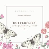Card with butterflies and flowers N8
