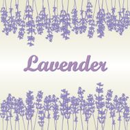Lavender background N2