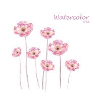 Pink watercolor Rose flower vector N2