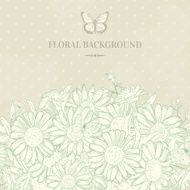 Background with chamomile and butterflies N2