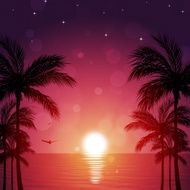 Beautiful Tropical Night N2
