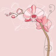 Floral background with orchid N2