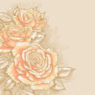 Pink roses on toned background