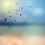 birds silhouette on sunny sky and beach background Vector