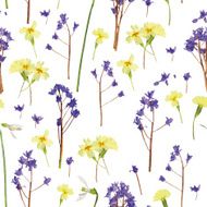 Romantic pattern scanned from natural spring flowers N2