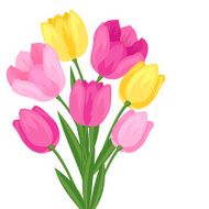 Bouquet of flowers tulips on white background N2