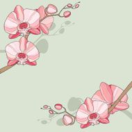 Corner floral background with orchid