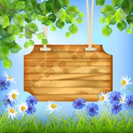 Wooden Sign Board Summer Day Natural Background