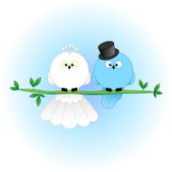 Stylish Bride and Groom Birds