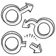 Male sexual virility and dysfunction sketch N2