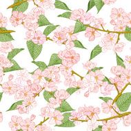 Seamless pattern with spring flowers Apple and cherry blossom N2