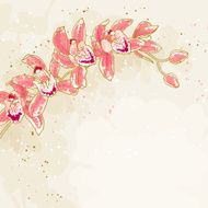 Branch of orchids on toned background