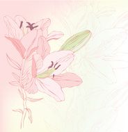 Floral background N1017