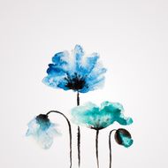 Watercolor vector flower N5