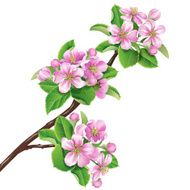Flowering Branch N2