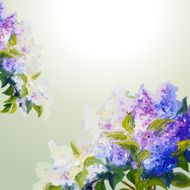 Lilac flowers background N6