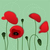 vector paper poppy flowers floral background