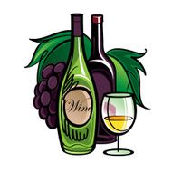 Wine and grape