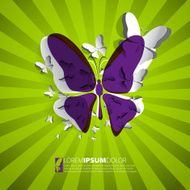 Greeting card with paper butterfly - design vector eps10 N3