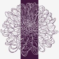 Floral card with chrysanthemum N11