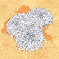 Floral card with chrysanthemum N12