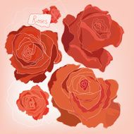 Roses N69