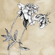 Vintage floral composition N7